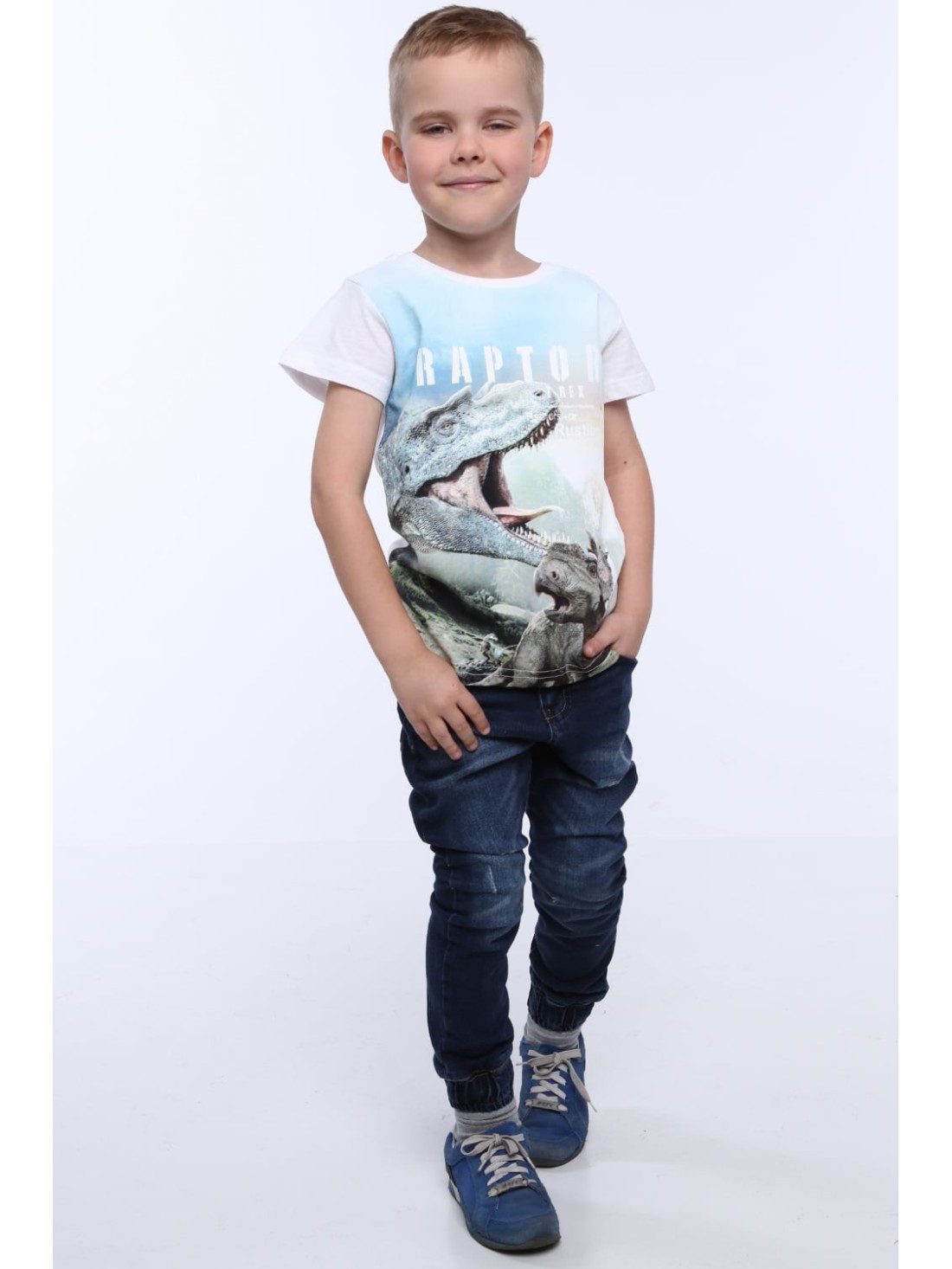 Boy\'s dinosaur T-shirt NDZ4510 - Online store - Boutique